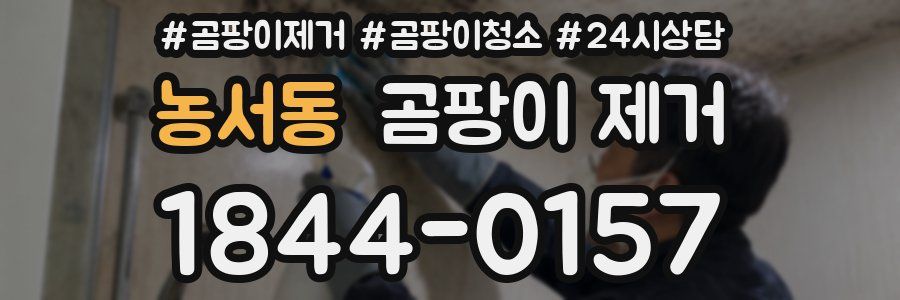 농서동 곰팡이 제거