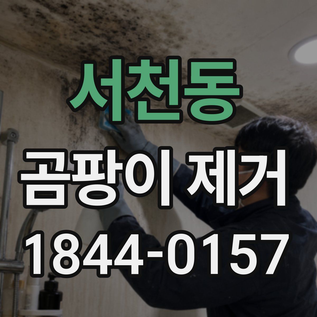 서천동 곰팡이 제거