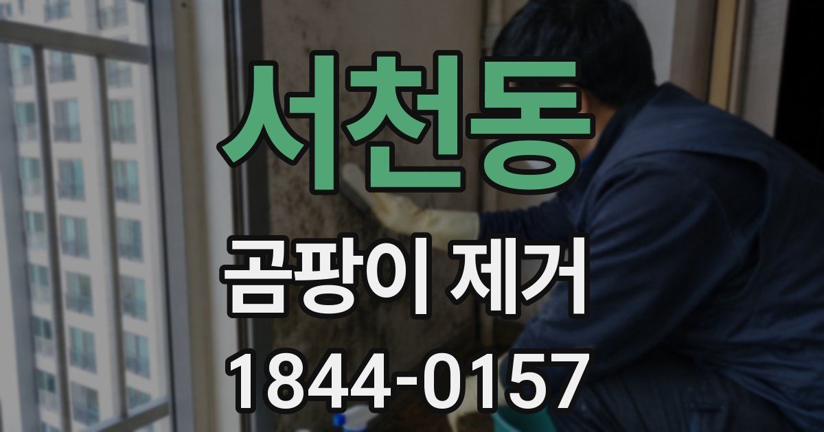 서천동 곰팡이 제거