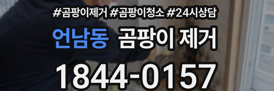 언남동 곰팡이 제거