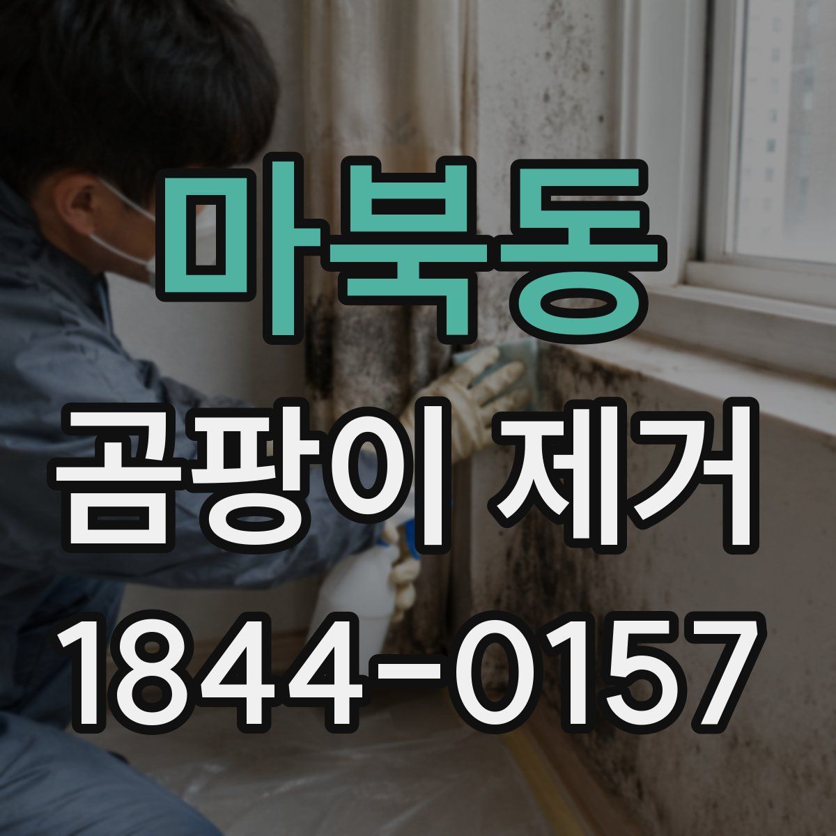 마북동 곰팡이 제거