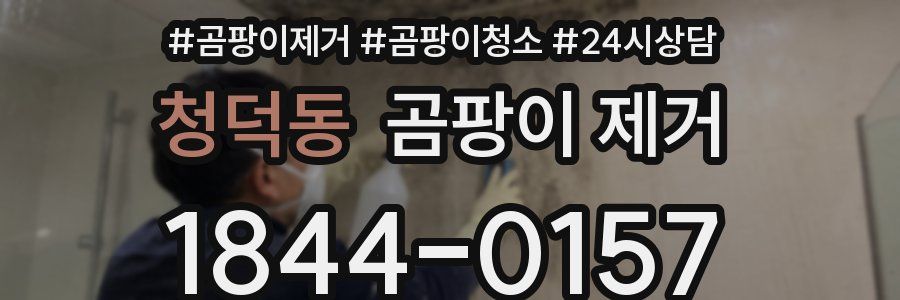 청덕동 곰팡이 제거