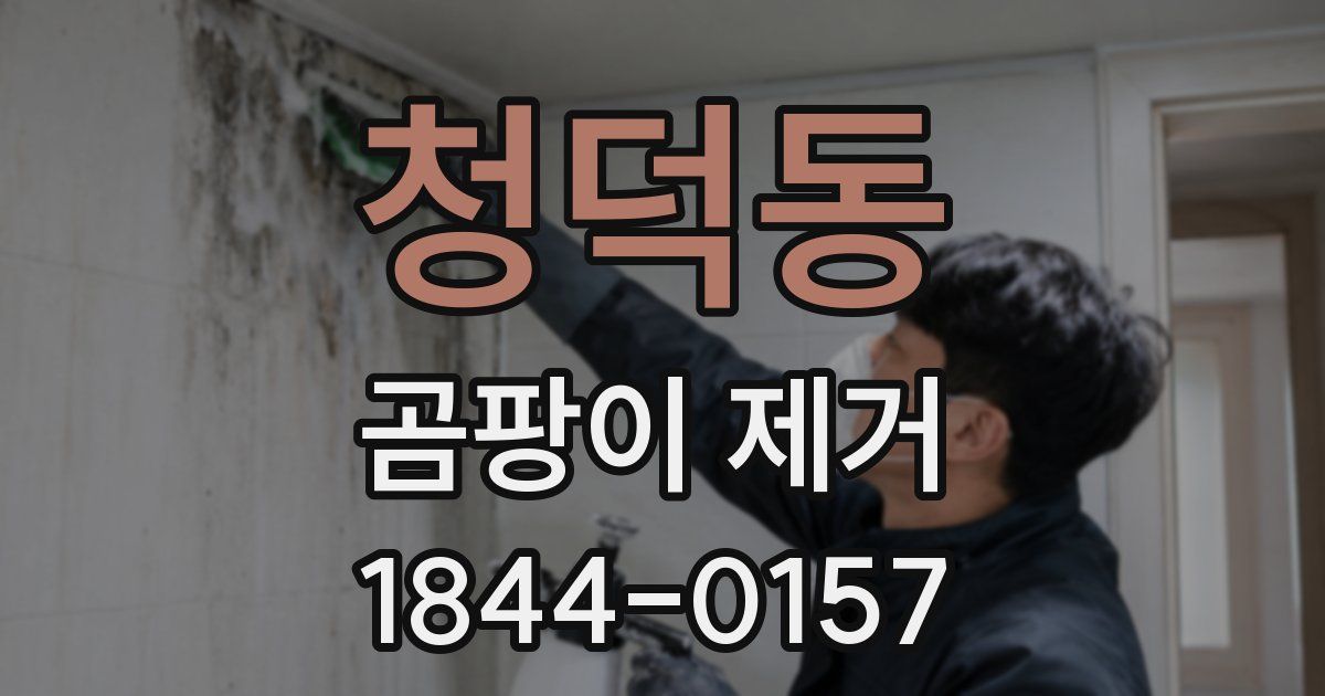 청덕동 곰팡이 제거