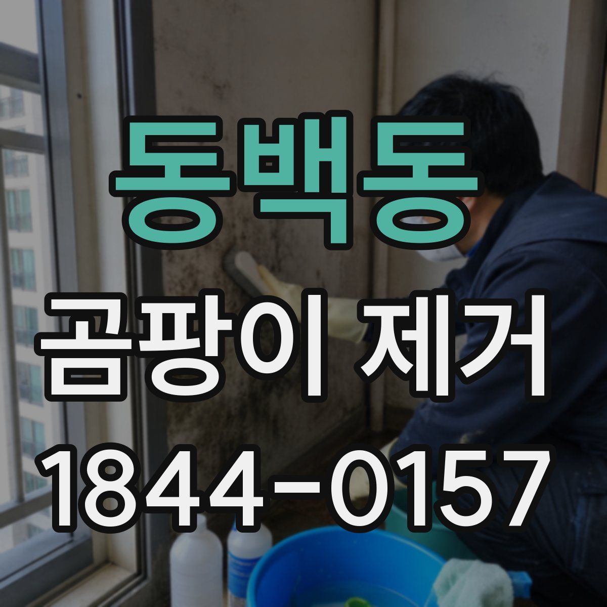 동백동 곰팡이 제거