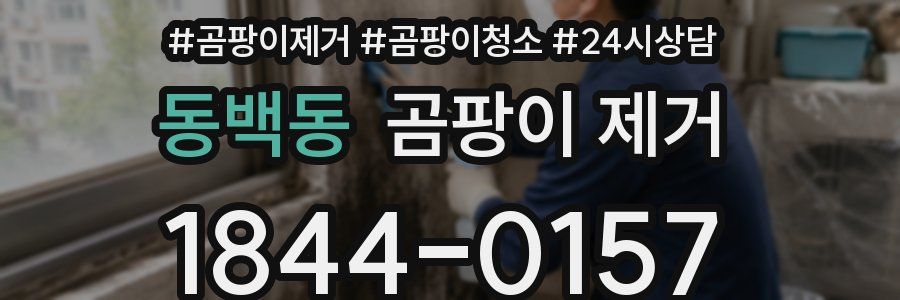 동백동 곰팡이 제거