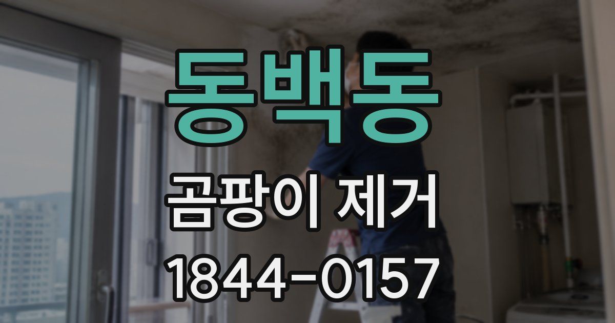 동백동 곰팡이 제거