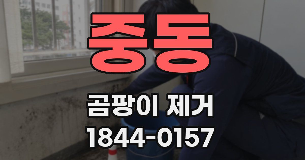 중동 곰팡이 제거