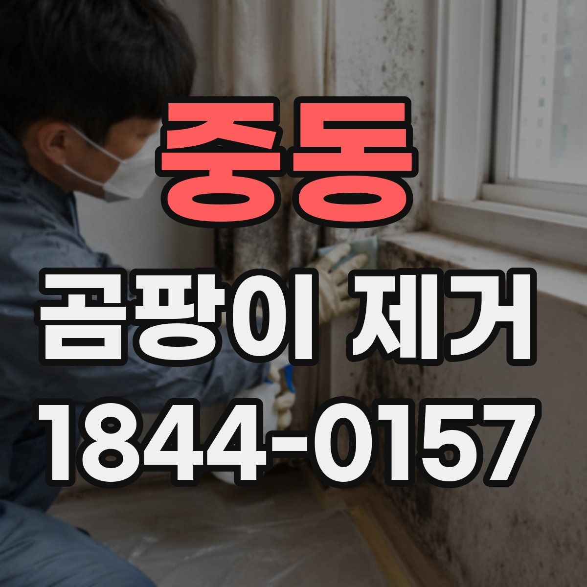 중동 곰팡이 제거