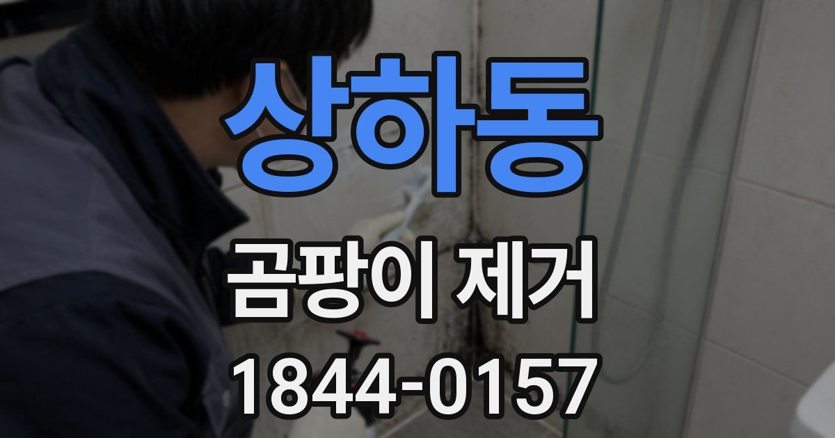 상하동 곰팡이 제거