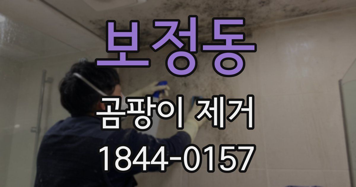 보정동 곰팡이 제거