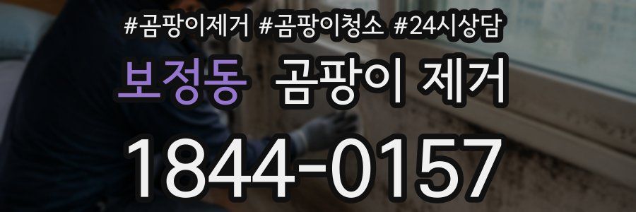 보정동 곰팡이 제거