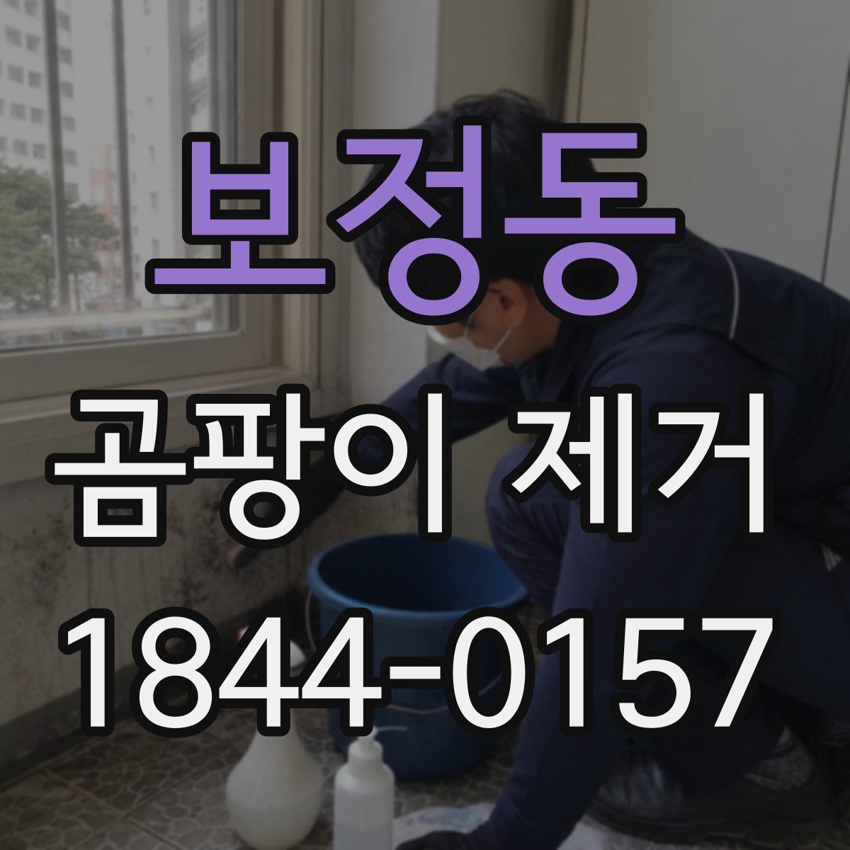 보정동 곰팡이 제거