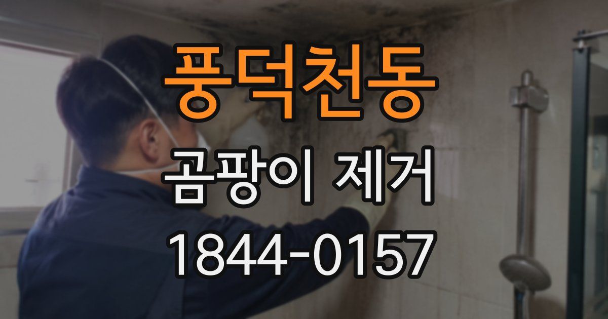 풍덕천동 곰팡이 제거