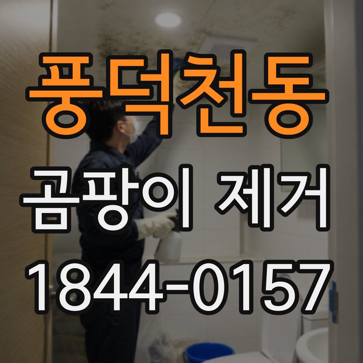 풍덕천동 곰팡이 제거