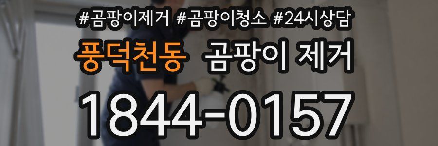 풍덕천동 곰팡이 제거