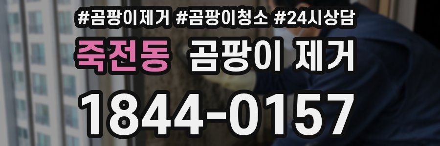 죽전동 곰팡이 제거