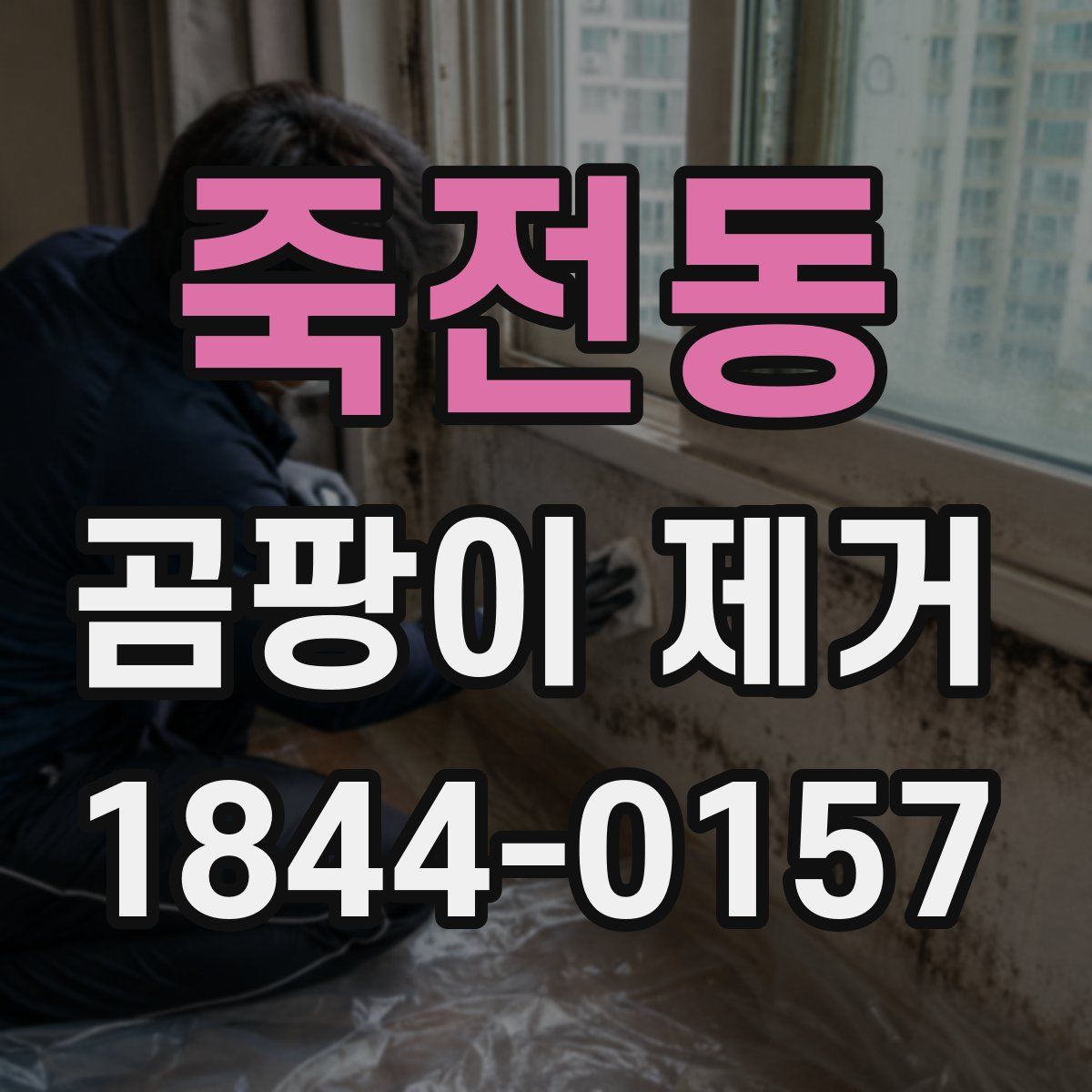 죽전동 곰팡이 제거