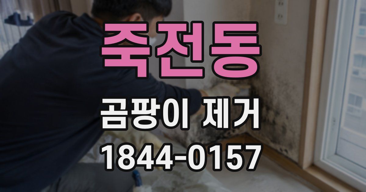 죽전동 곰팡이 제거