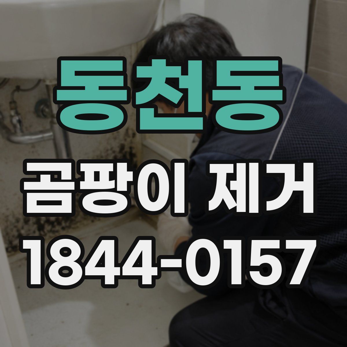 동천동 곰팡이 제거