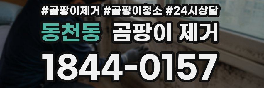 동천동 곰팡이 제거