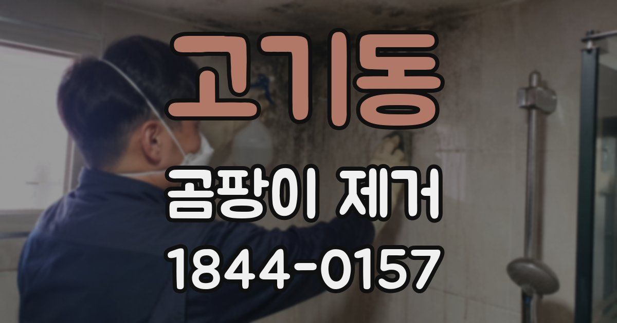 고기동 곰팡이 제거