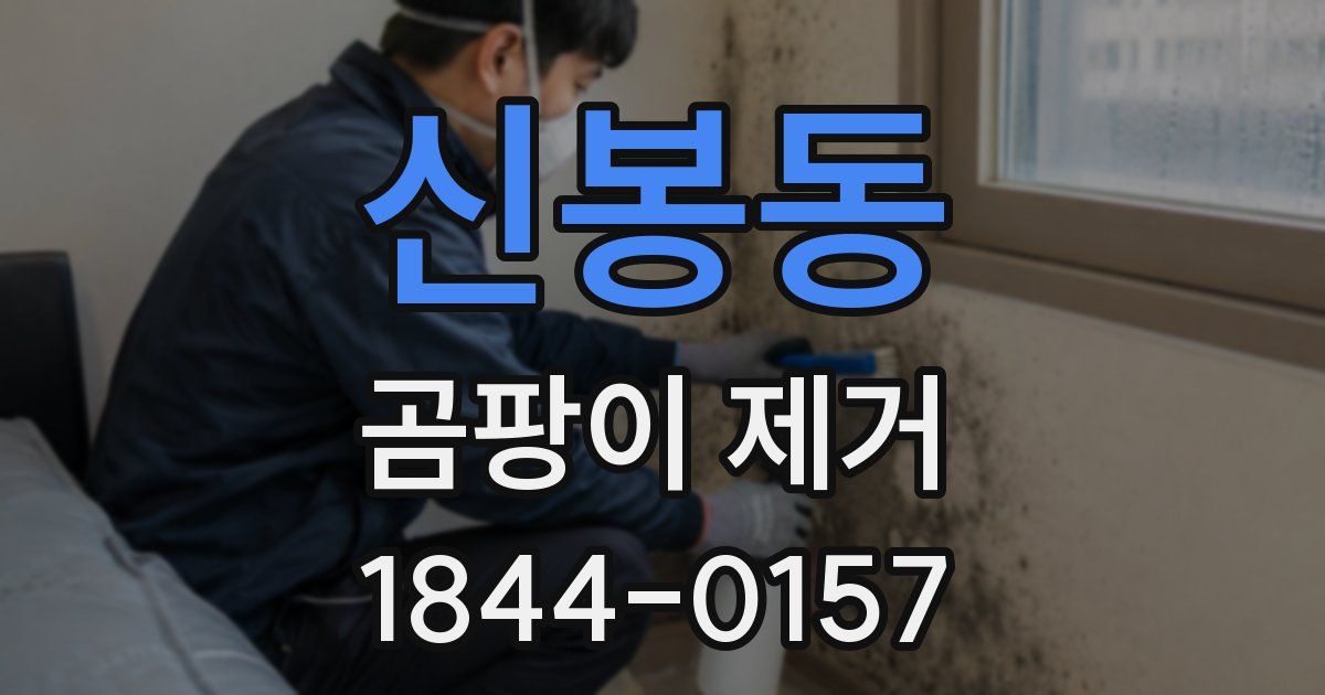 신봉동 곰팡이 제거