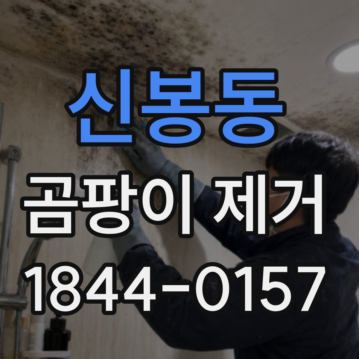 신봉동 곰팡이 제거