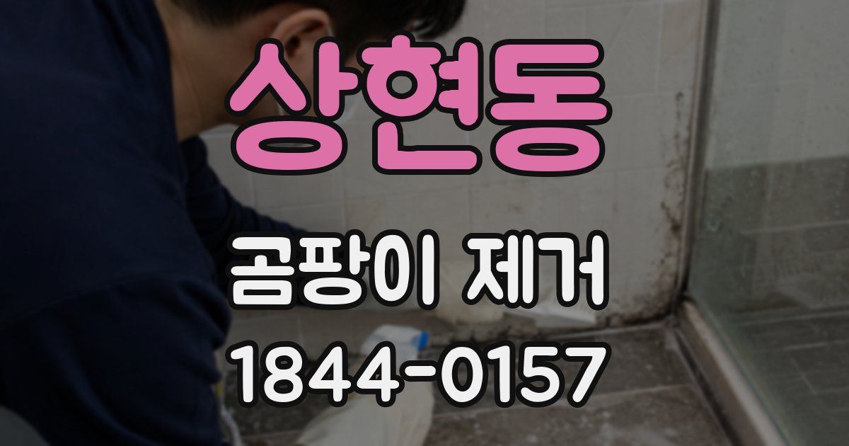상현동 곰팡이 제거