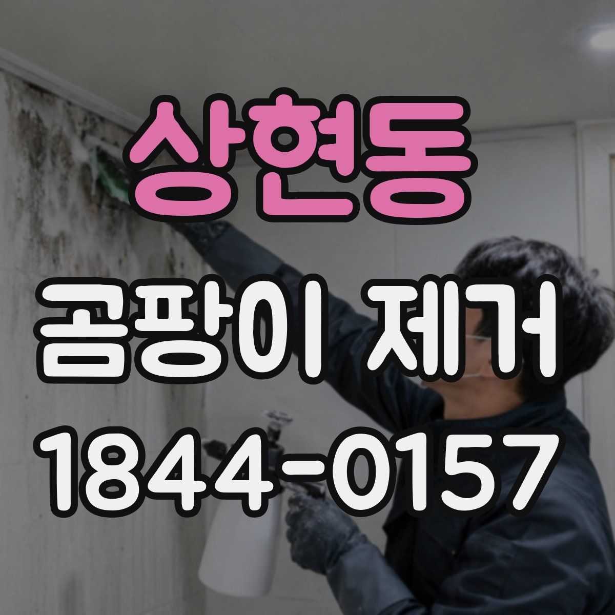 상현동 곰팡이 제거