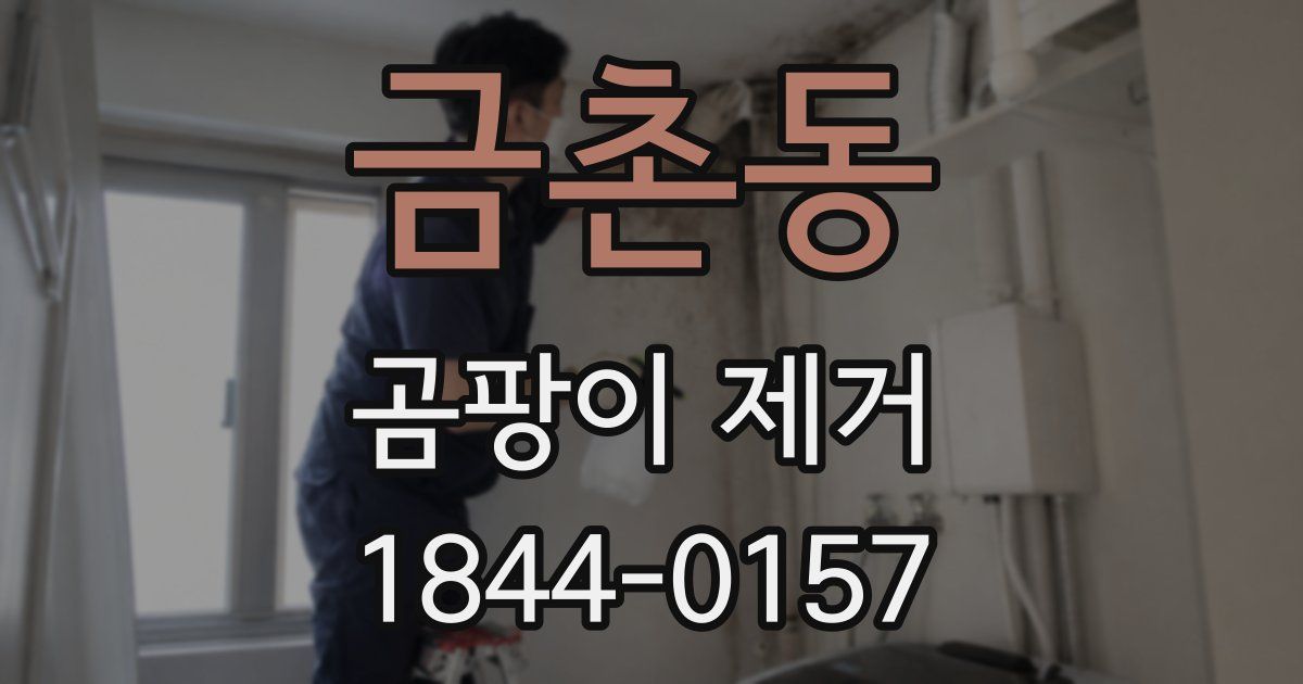 금촌동 곰팡이 제거