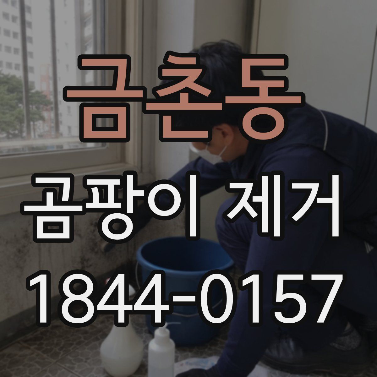 금촌동 곰팡이 제거