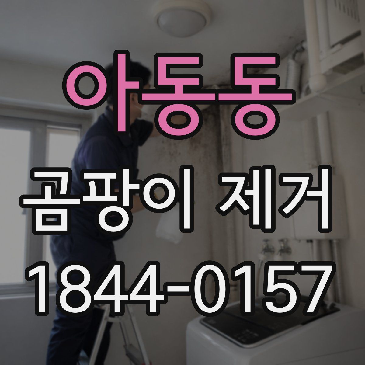 아동동 곰팡이 제거