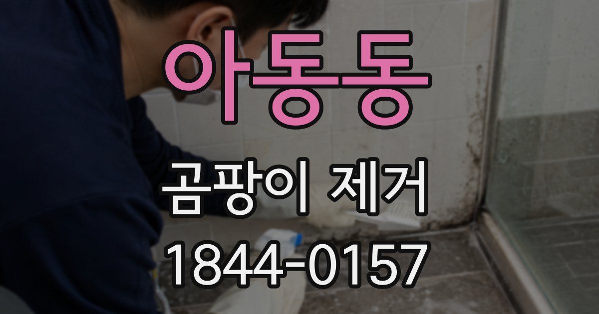 아동동 곰팡이 제거