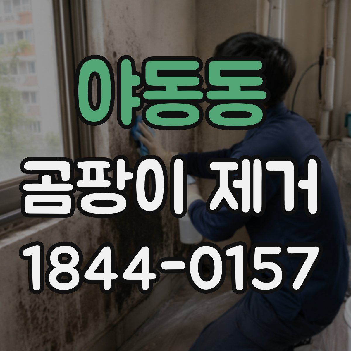 야동동 곰팡이 제거