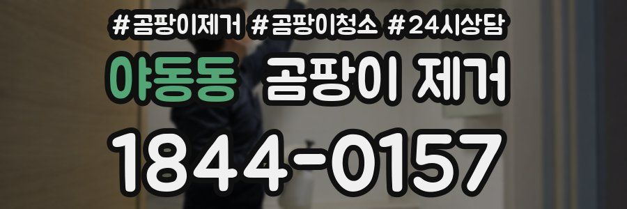 야동동 곰팡이 제거