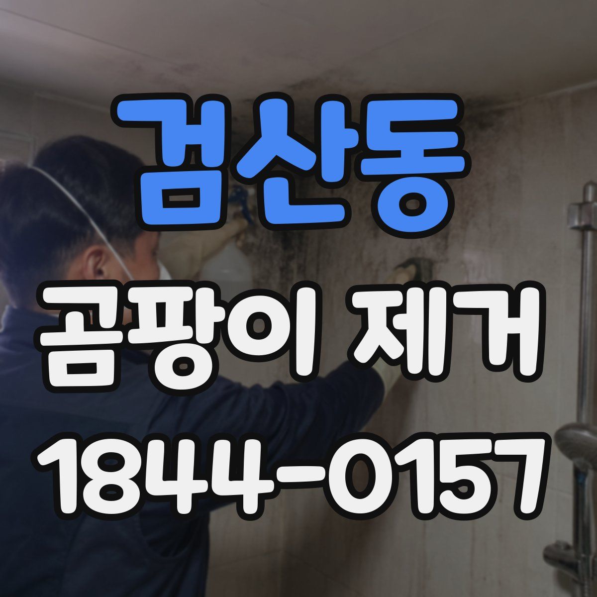 검산동 곰팡이 제거