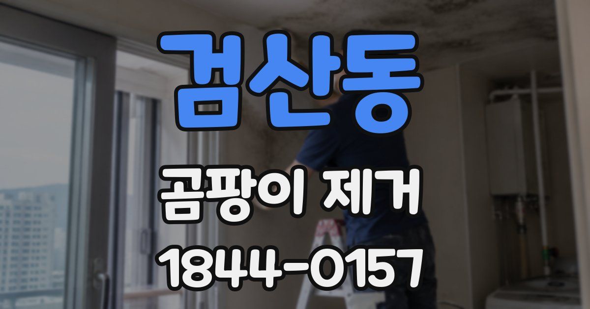 검산동 곰팡이 제거