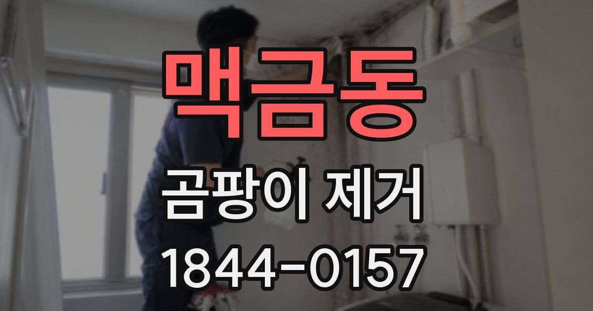 맥금동 곰팡이 제거
