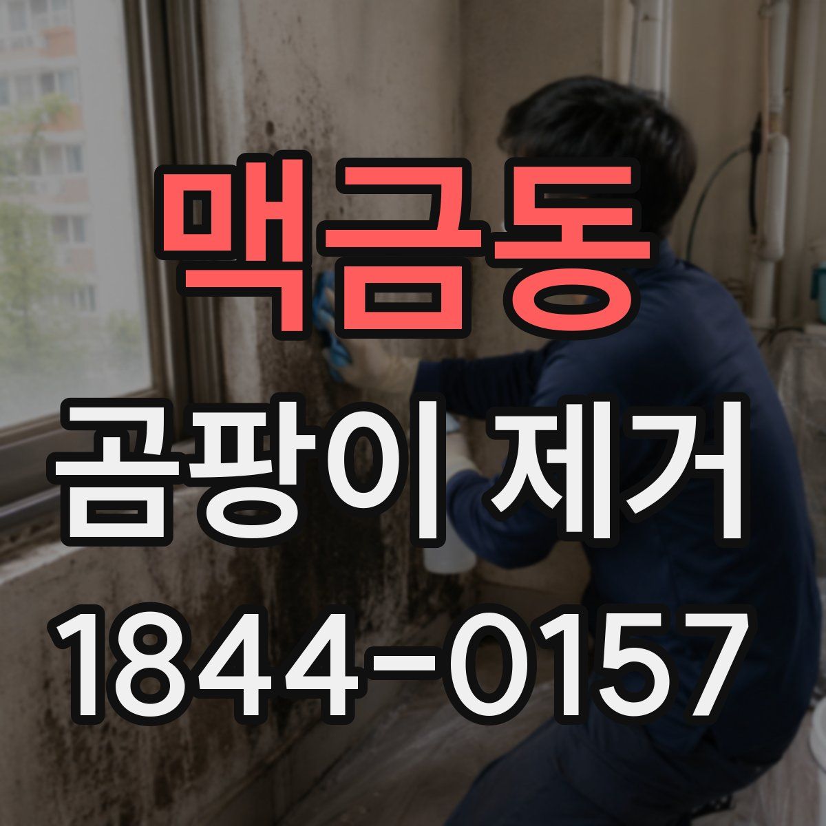 맥금동 곰팡이 제거
