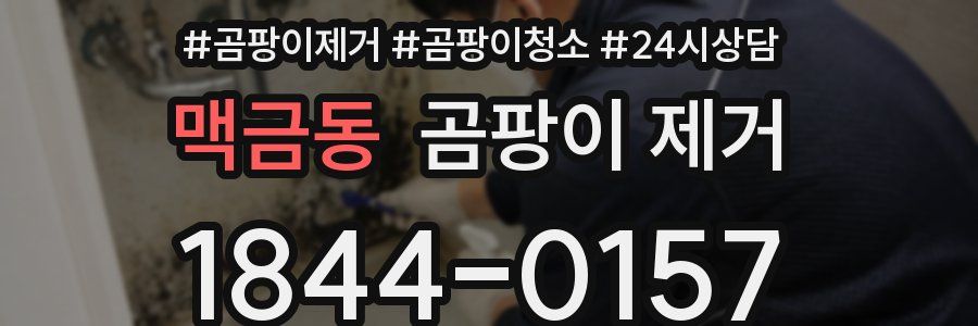 맥금동 곰팡이 제거