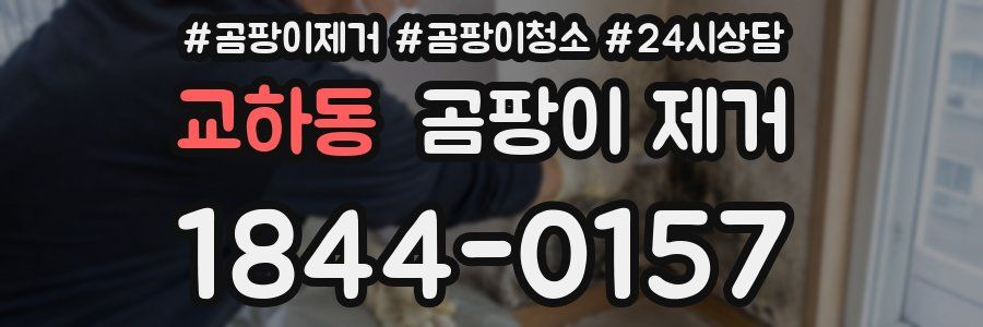 교하동 곰팡이 제거