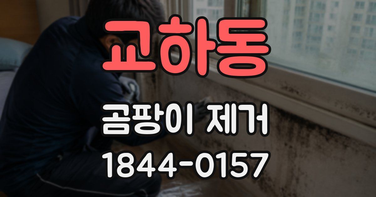 교하동 곰팡이 제거