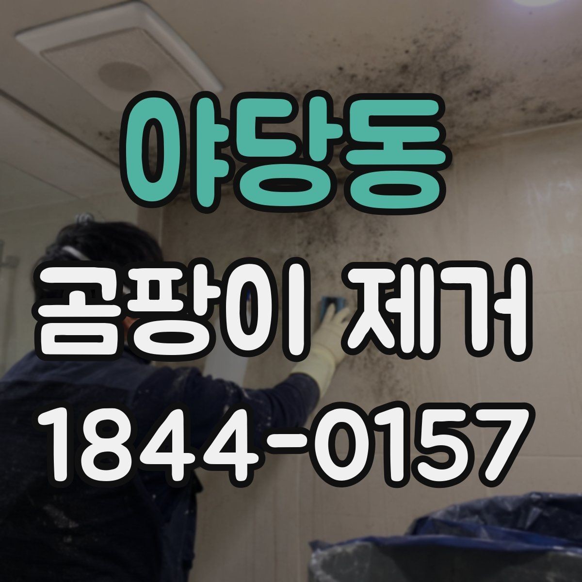 야당동 곰팡이 제거 에어컨 내부와 필터를 함께 살피는 법