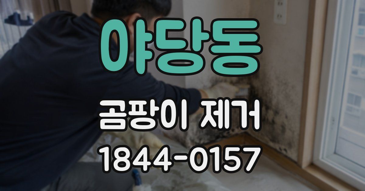 야당동 곰팡이 제거