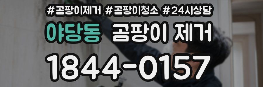 야당동 곰팡이 제거