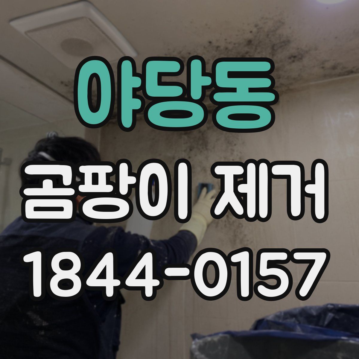 야당동 곰팡이 제거