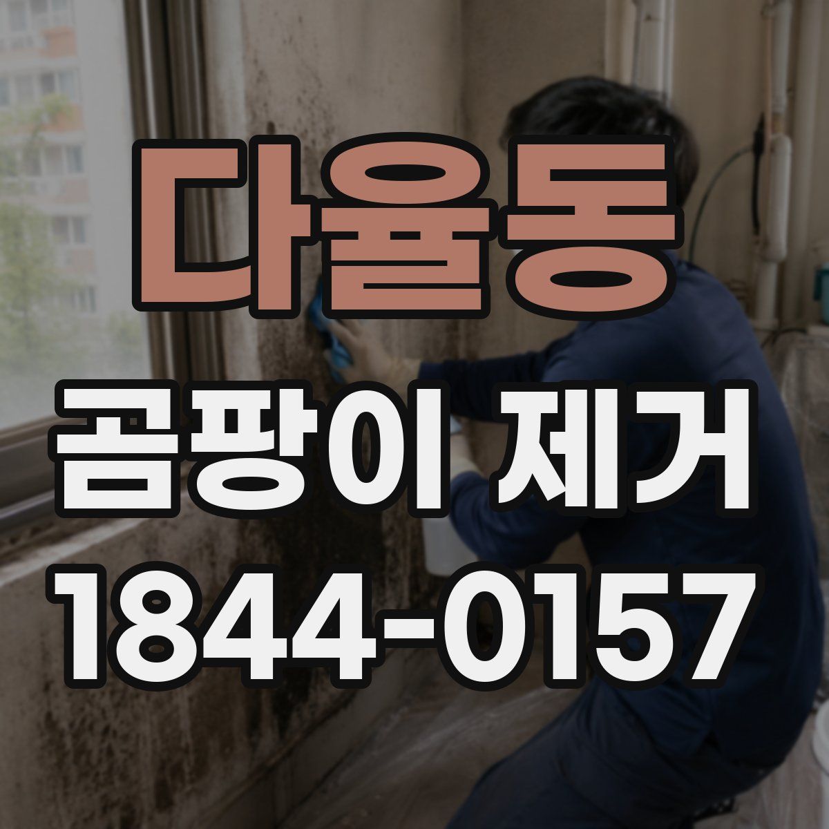 다율동 곰팡이 제거