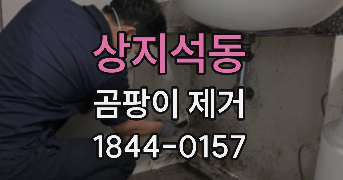 상지석동 곰팡이 제거