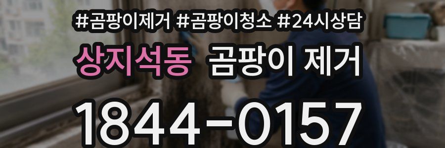상지석동 곰팡이 제거