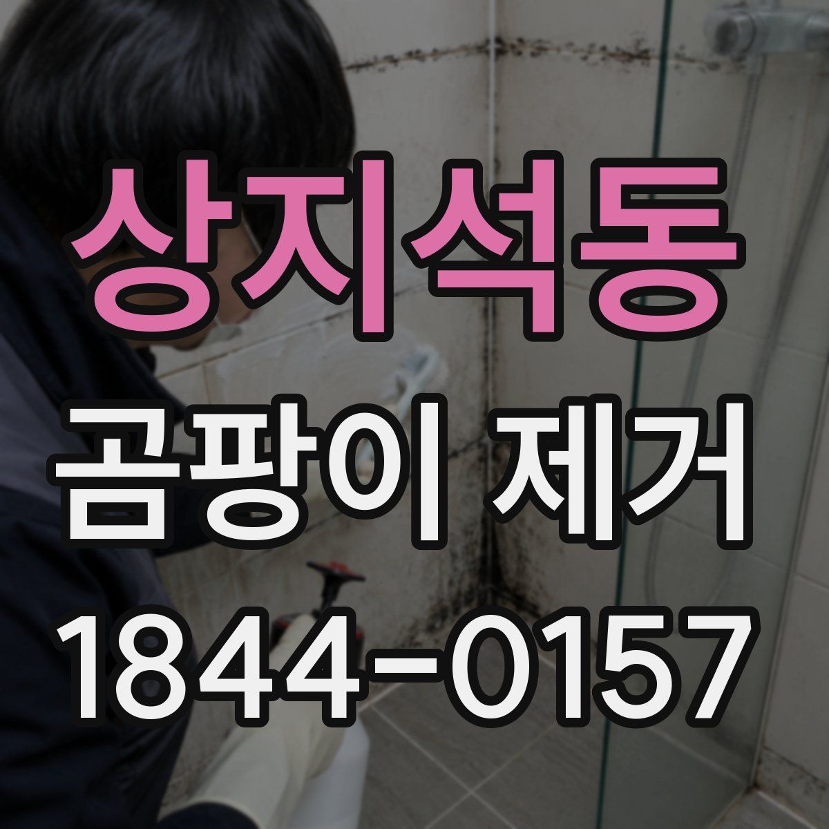 상지석동 곰팡이 제거
